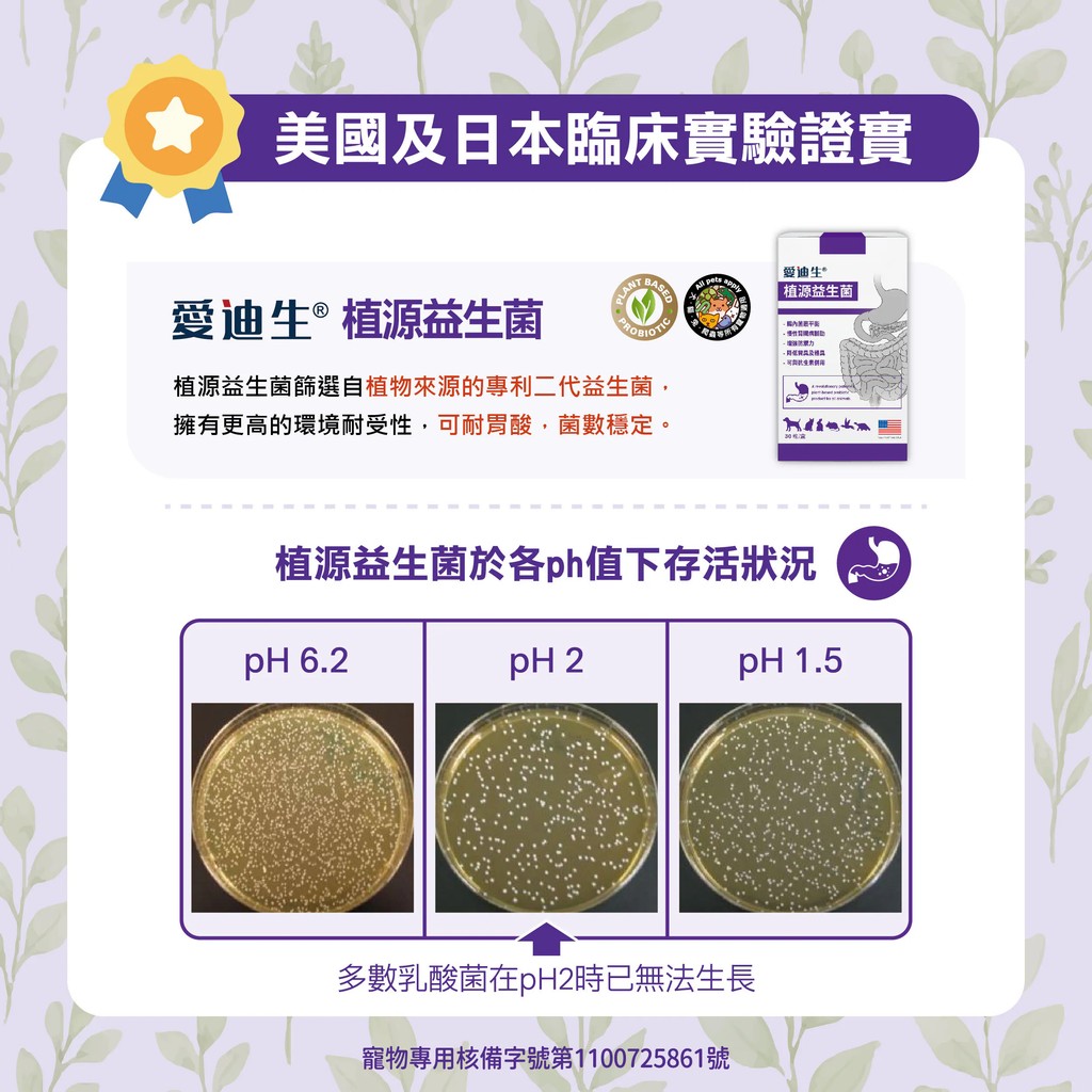 【PawHomie】愛迪生Addison 植源益生菌, , large