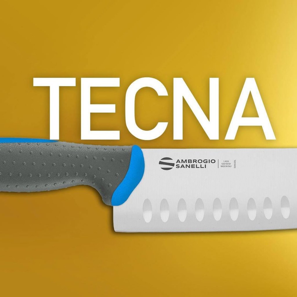 蓋瑞廚物【SANELLI 義大利製 TECNA 主廚刀 22cm】止滑柄  廚房刀 調理刀 廚刀  西式主廚刀 22, , large