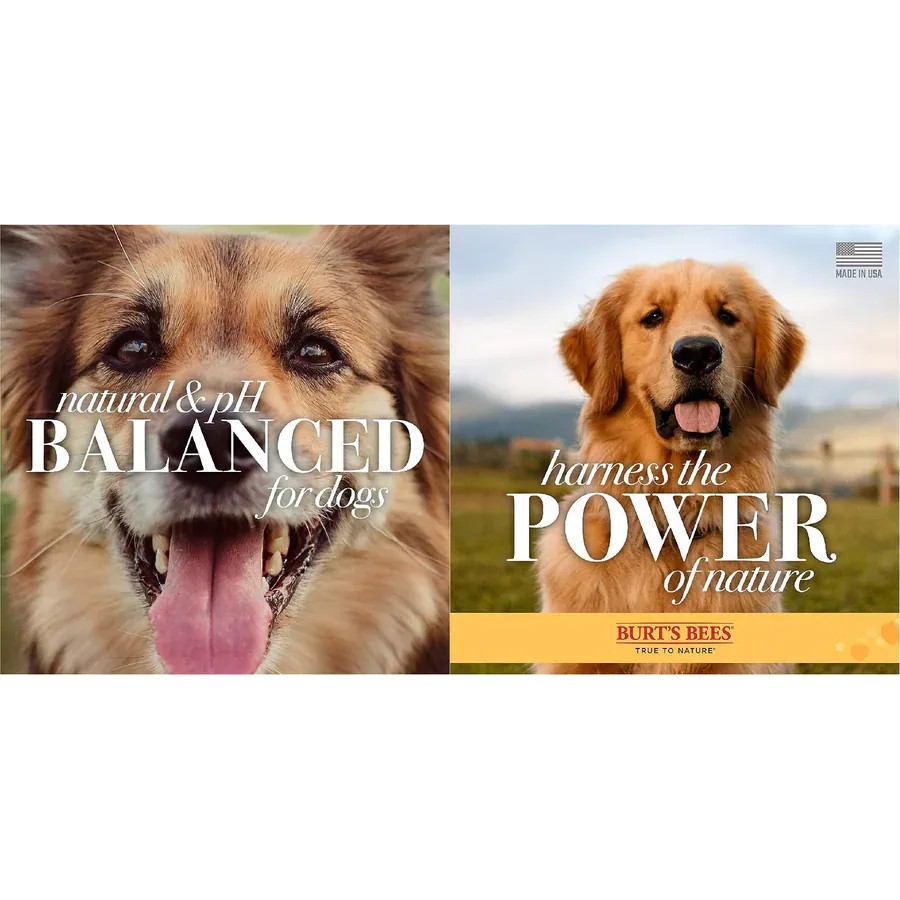 【PawHomie】Burt's Bees蘋果迷迭香除臭沐浴露（犬用）, , large