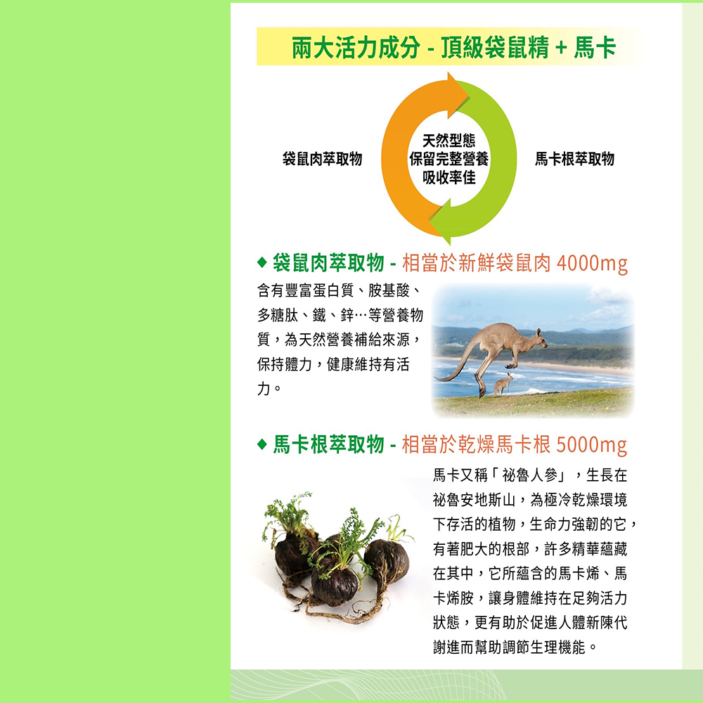 【澳洲澳倍美Belrose-即期品】頂級袋鼠精+ 馬卡膠囊-2026年5月31日到期(2入組  30顆/瓶), , large