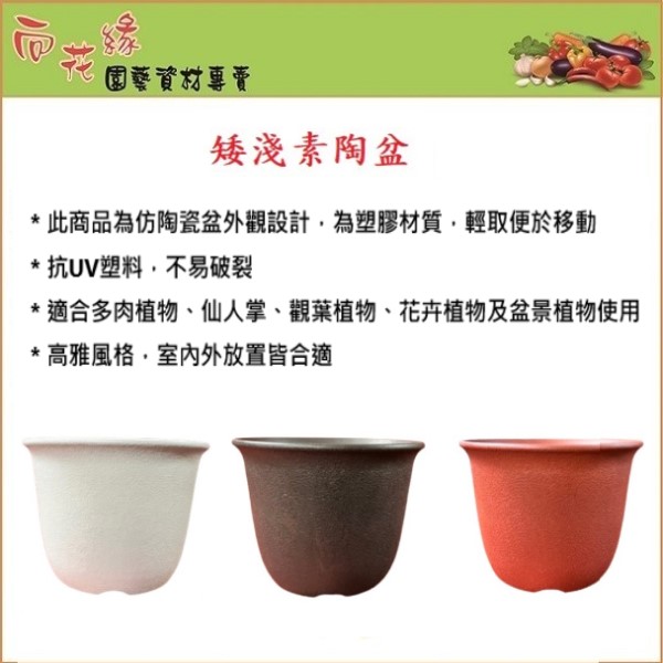 【向花緣】矮淺素陶盆 白色 - 4吋, , large