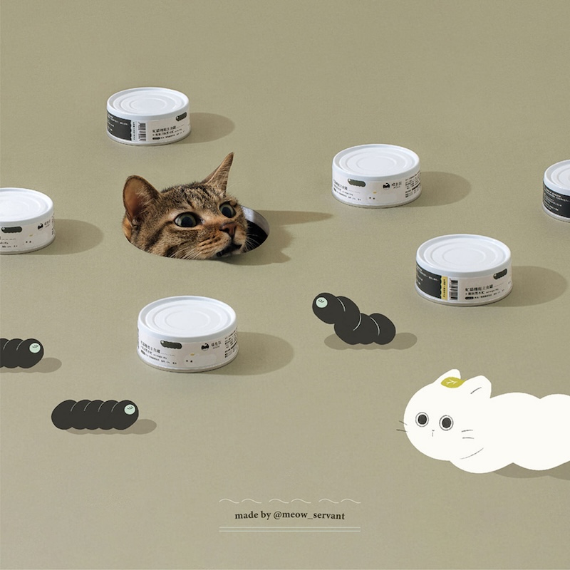 [Fore Wind]Meow-Servant Black soldier fly meal cans Combo set 8 cans, , large