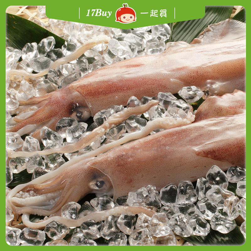 【一起買】野生透抽-1尾入 / 200-300g, , large