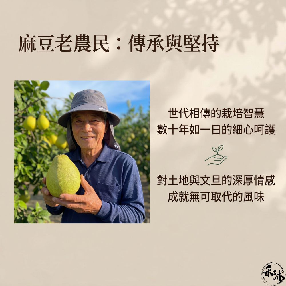 禾沐20年普通麻豆文旦 (老欉文旦柚子 | 一箱10斤 | 7-10顆) | Howu好物商城, , large