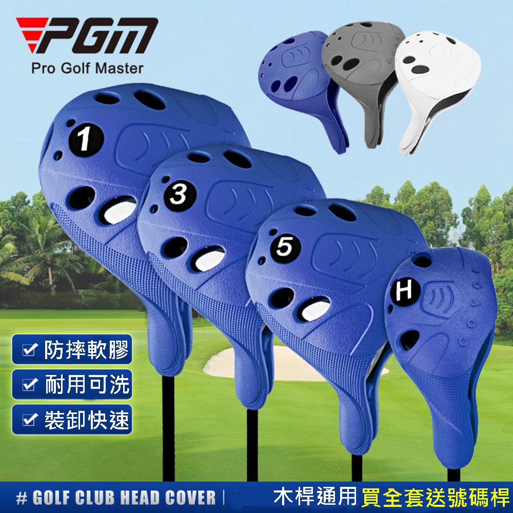 PGM, , large