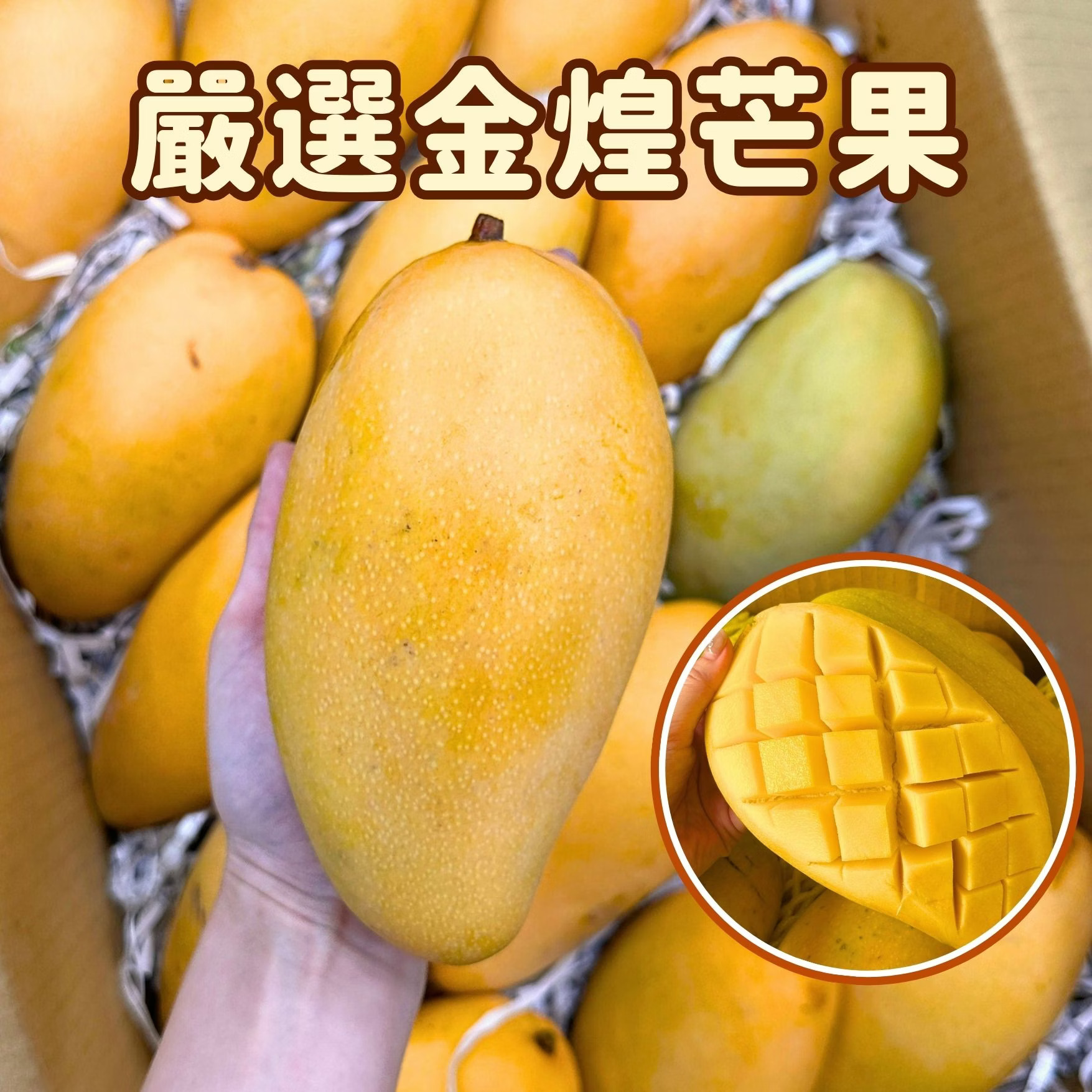 Jin Huang Mango, , large