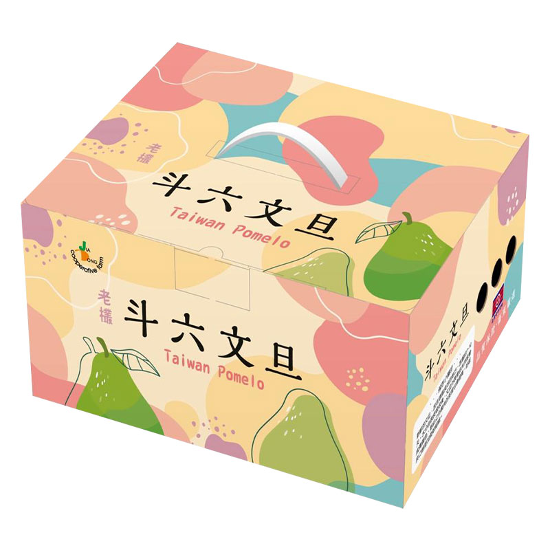 嘉東斗六履歷30年文旦禮盒, , large