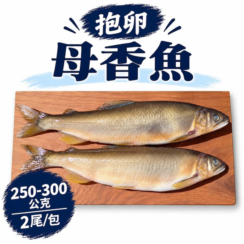 【一夫水產】抱卵母香魚, , large