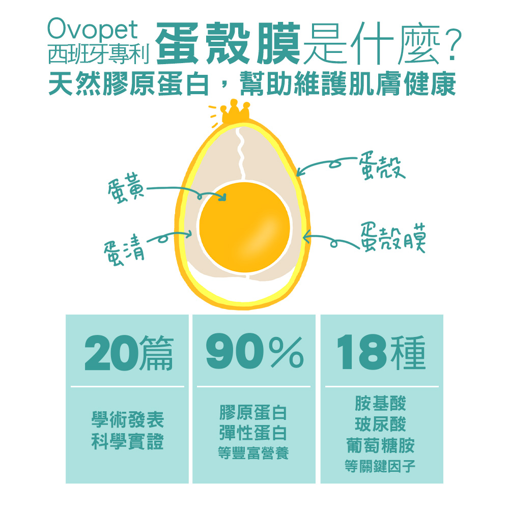 【IN-Plus】蛋殼膜卵磷脂 護膚亮毛配方300顆/罐(全齡犬/寵物保健/皮膚保健), , large