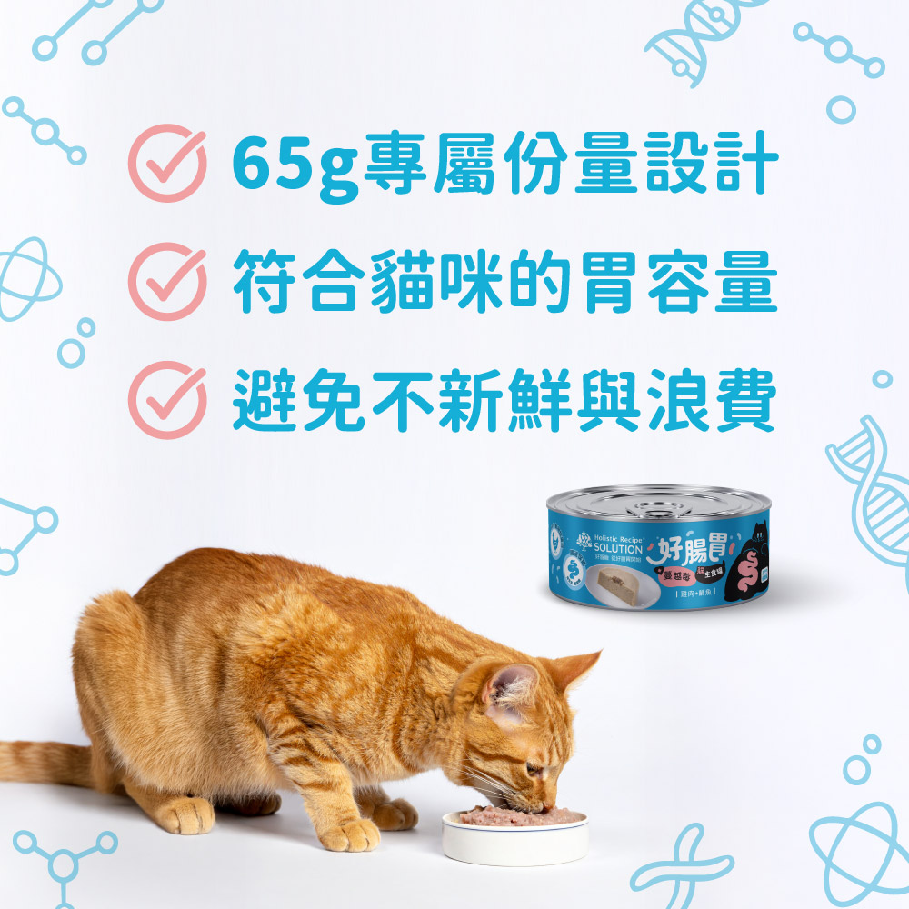【耐吉斯】好腸胃主食罐頭 65g*24罐/箱 成幼貓 雞肉 鮭魚 鯛魚(主食罐/貓罐頭/貓主食/貓糧), , large