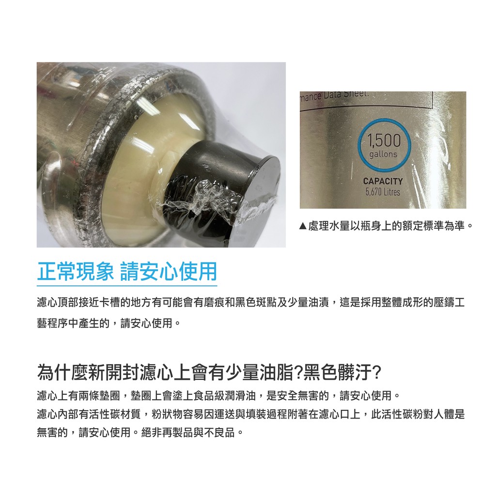 【麗水生活】EVERPURE 愛惠浦S-100愛惠浦S-100 濾心-美國原裝進口濾心 餐飲業界用濾心, , large