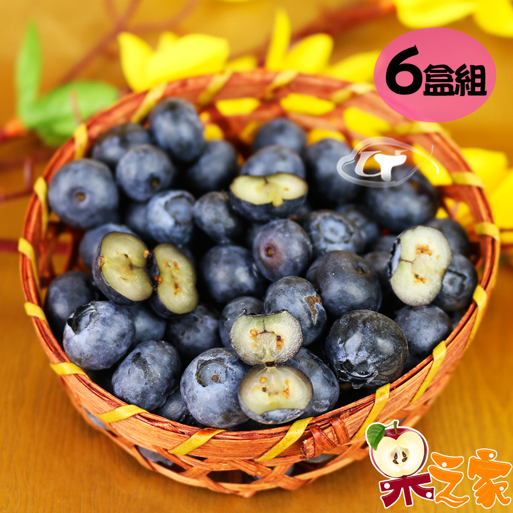 [USC]Fruit House 6 boxes of XL fresh fruit blueberries imported by air (125g/box), , large