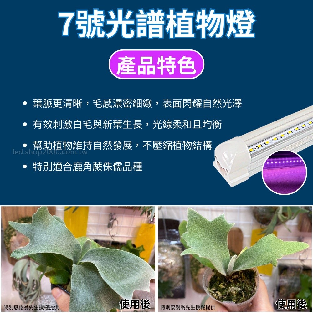 【君沛】7號光譜 藍光強化 4呎T8一體式 25W 抑制徒長 鹿角蕨推薦 觀葉植物 還原原色 層架燈, , large