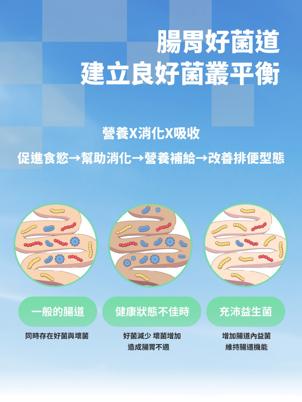 【GOMO PET FOOD】菌衡原力/全齡貓腸胃保健配方3.5kg 貓飼料 貓糧, , large
