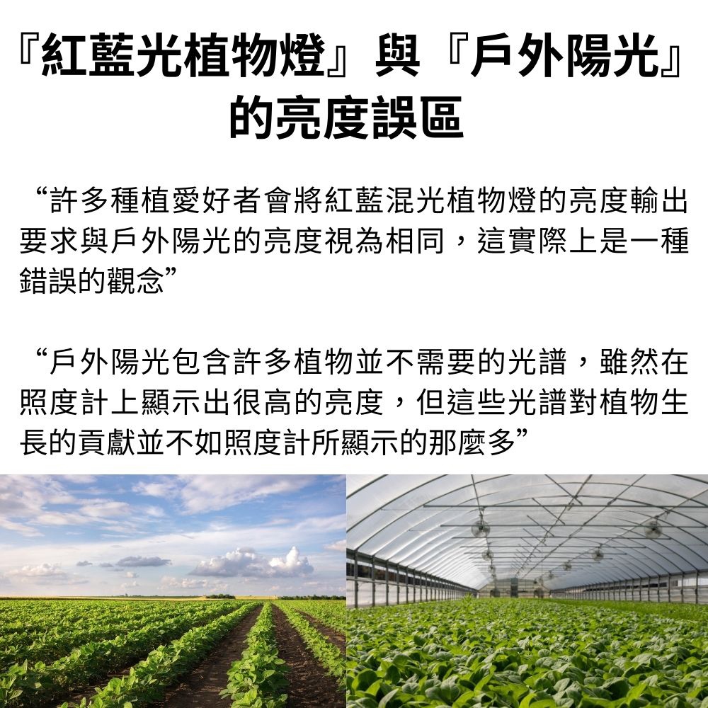 【君沛】紅藍光譜 3呎 T8植物燈管 25W 育苗首選 抑制徒長 鹿角蕨孢子苗 玫瑰補光 發根強化 專業生長燈, , large