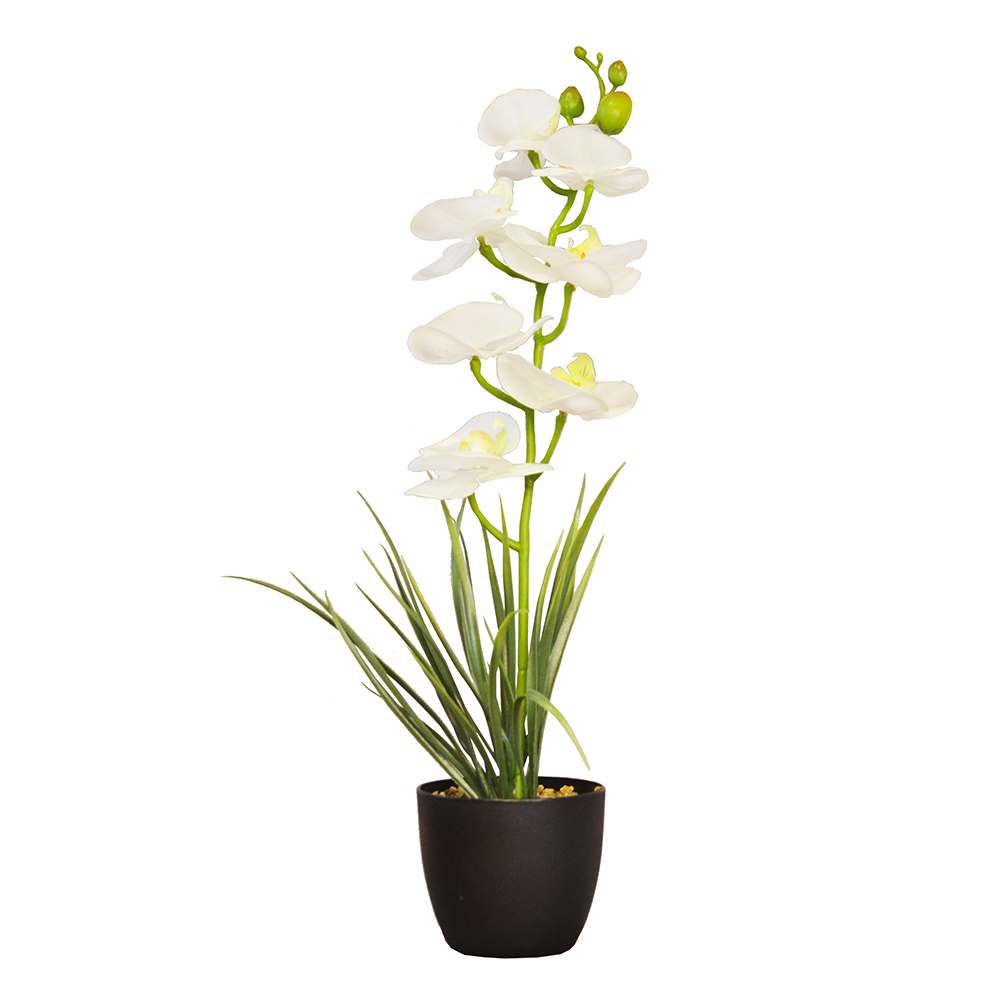 【YU Living】人造大蘭花盆 仿真蘭花盆栽 高37cm-白色, , large