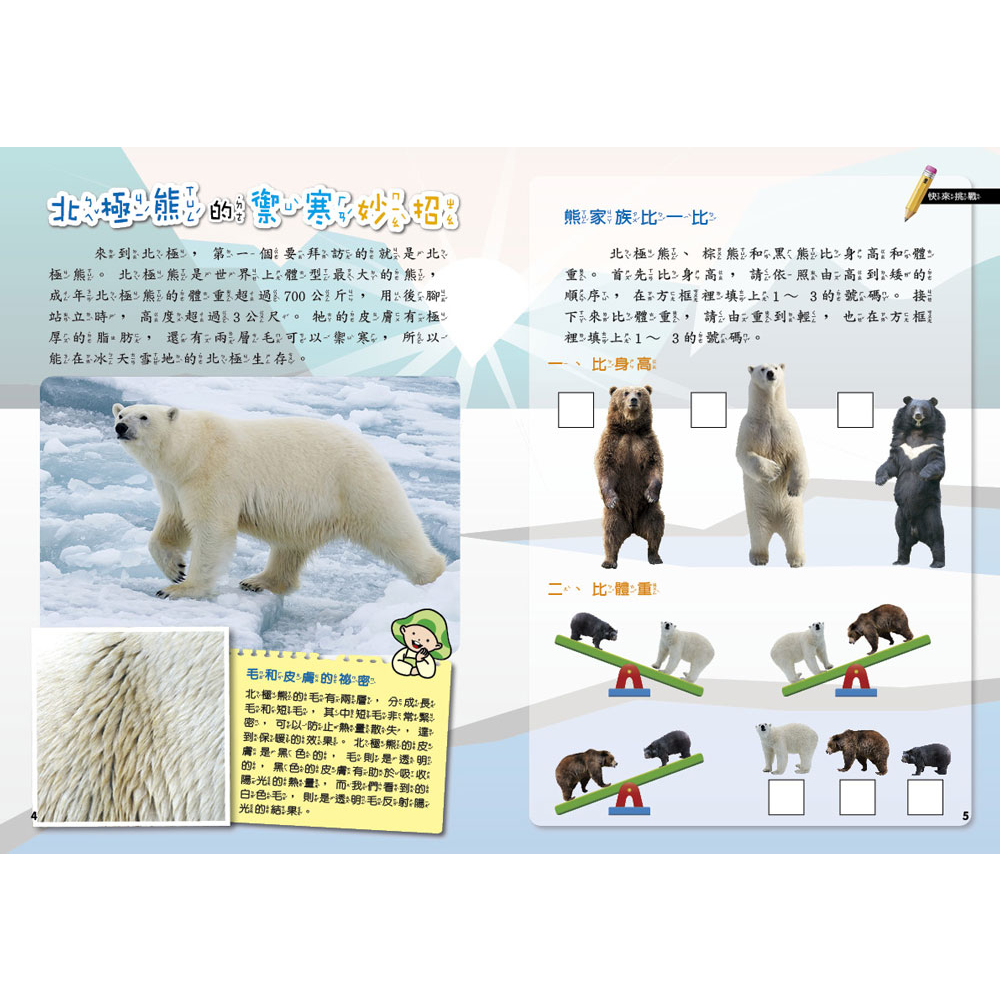 Polar Zones, , large