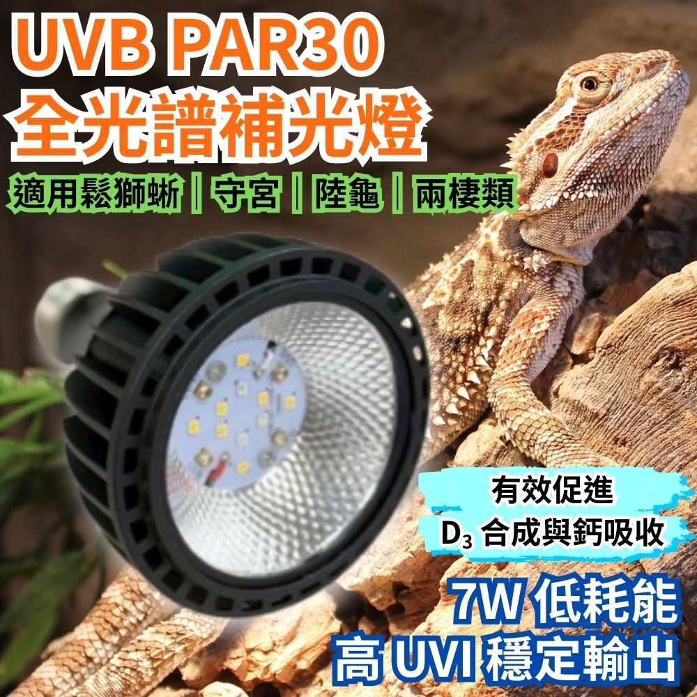 【君沛爬蟲燈】UVB 爬蟲燈 LED 補光燈 7W PAR30｜高 UVI 全光譜 適用爬蟲烏龜鬆獅, , large