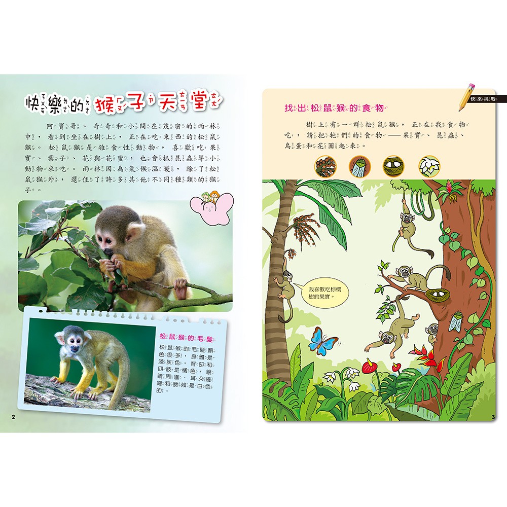 [小牛頓]PLAY&LEARN：雨林探險 適合5-8歲 平裝全彩 高階遊戲書, , large