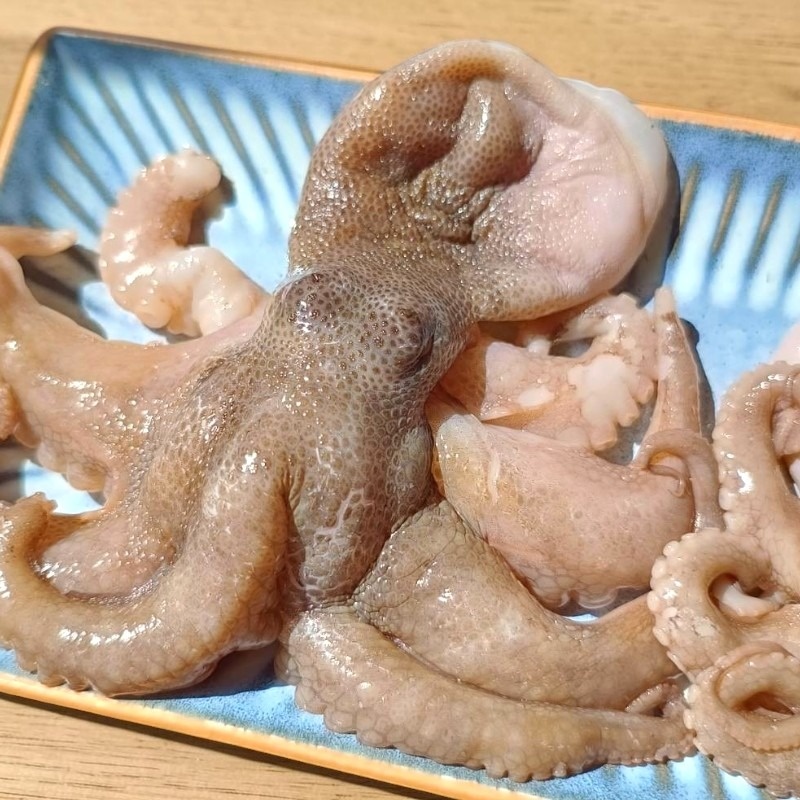 【一夫水產】澎湖野生石巨/小章魚, , large