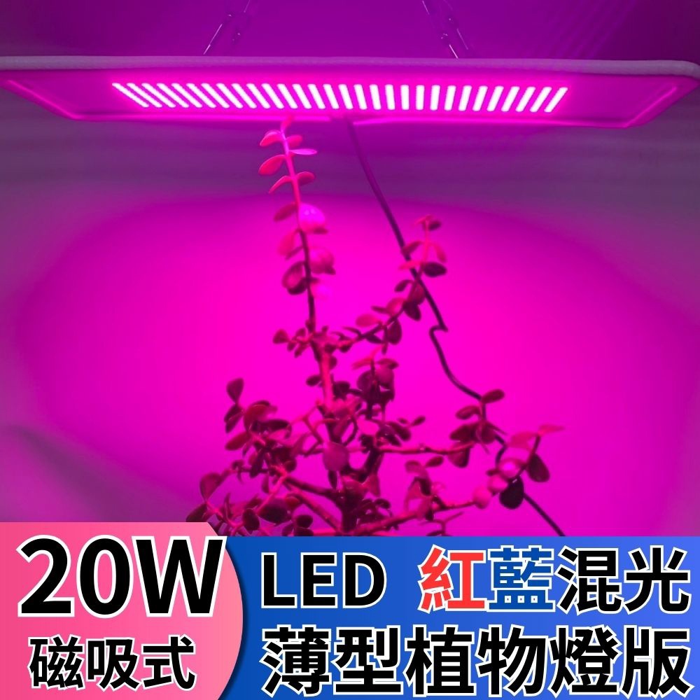 【君沛】磁吸式薄型植物燈板 20W 紅藍光譜 LED植物燈 多肉顯色 育苗 防徒長 植物生長燈 層架燈, , large