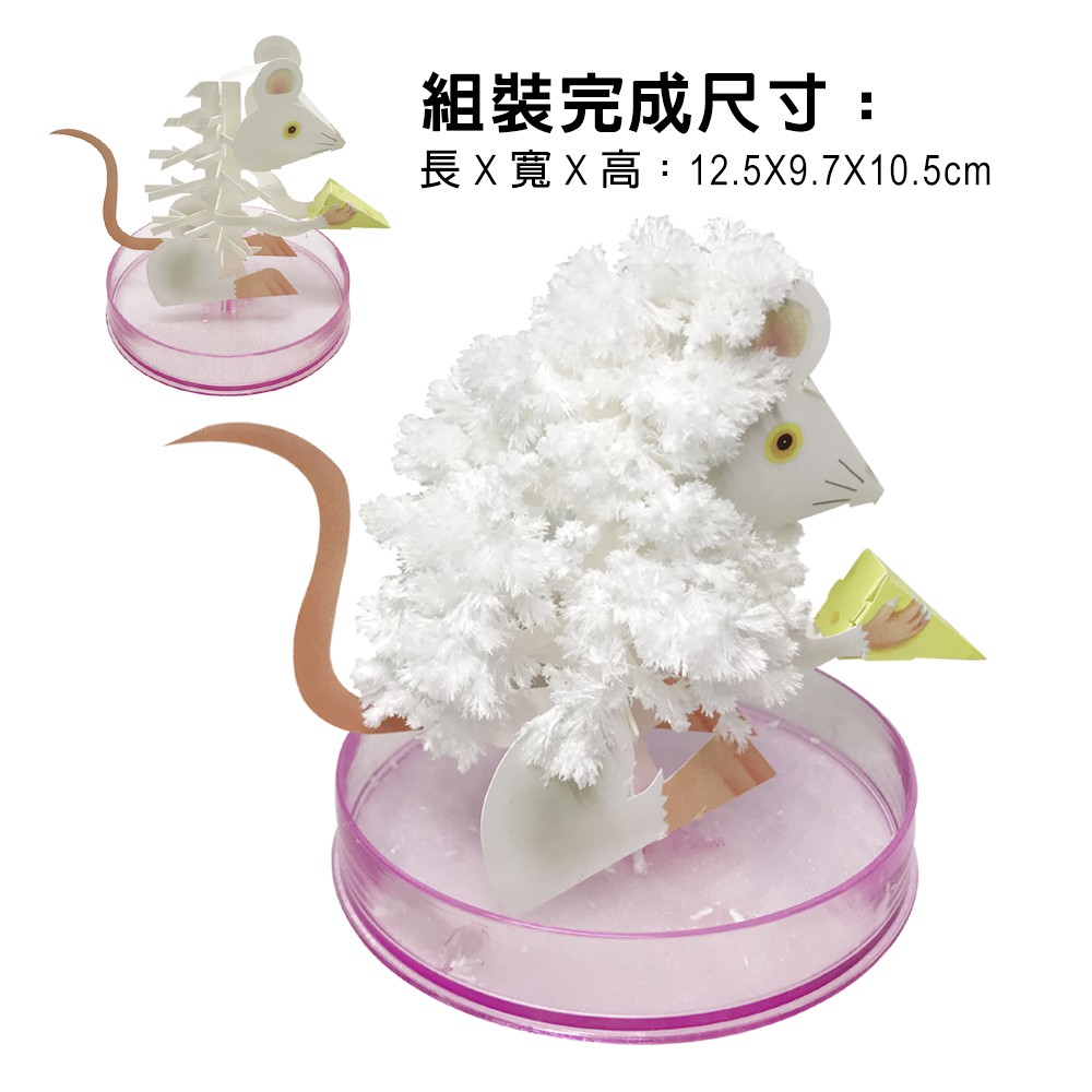 GS MALL 台灣製造 魔法成長錢鼠 魔法開花鼠 成長鼠 錢鼠 神奇錢鼠 紙花 開花鼠 裝飾樹 開花樹, , large
