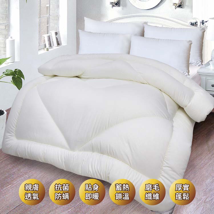 【多利寶寢具】Indian_壓花舒柔抗菌中空纖維被/棉被胎, , large