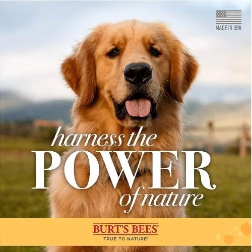 【PawHomie】Burt's Bees金銀花酪梨抗癢乾洗護毛素潔膚水（犬用）, , large