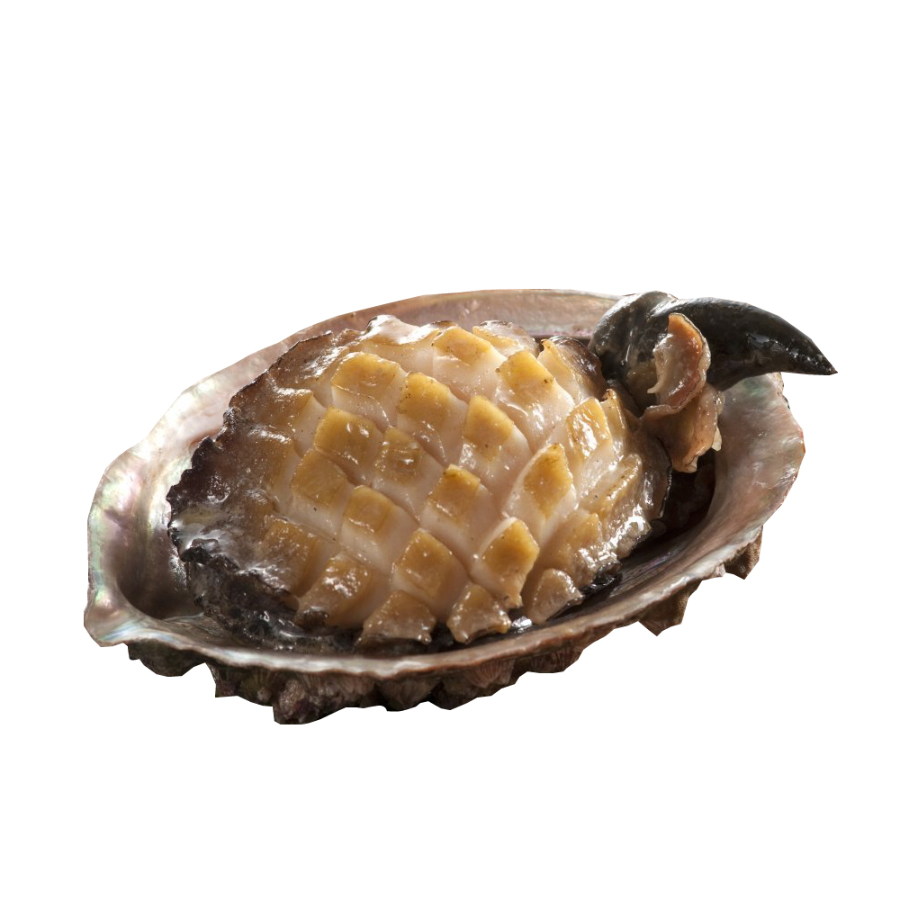 小川漁屋 極品南非活凍帶殼鮑魚1包（500g/包/約6~8粒&plusmn;10%）_任選, , large