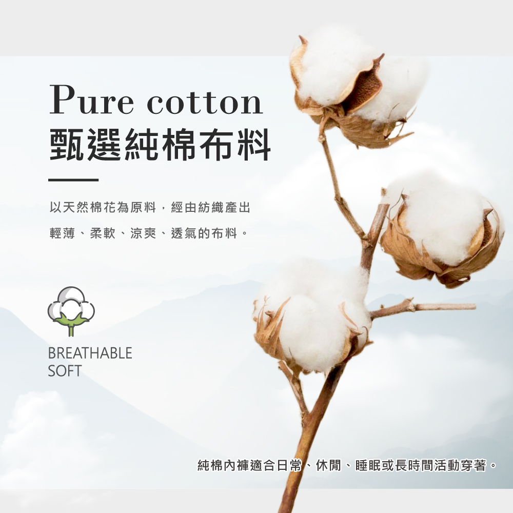 【伊柔EVEROY】舒適純棉低腰加高防漏生理內褲 M-2XL/Q內褲 粉/黑/膚/灰 9820-31 9820-41 9820-63 9820-61	, , large