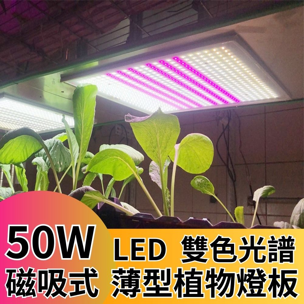 【君沛植物燈】LED植物燈 LED50W薄型植物燈板 50W 磁吸式植物燈 雙色光譜設計 有助於提高栽培效率和作物質量, , large
