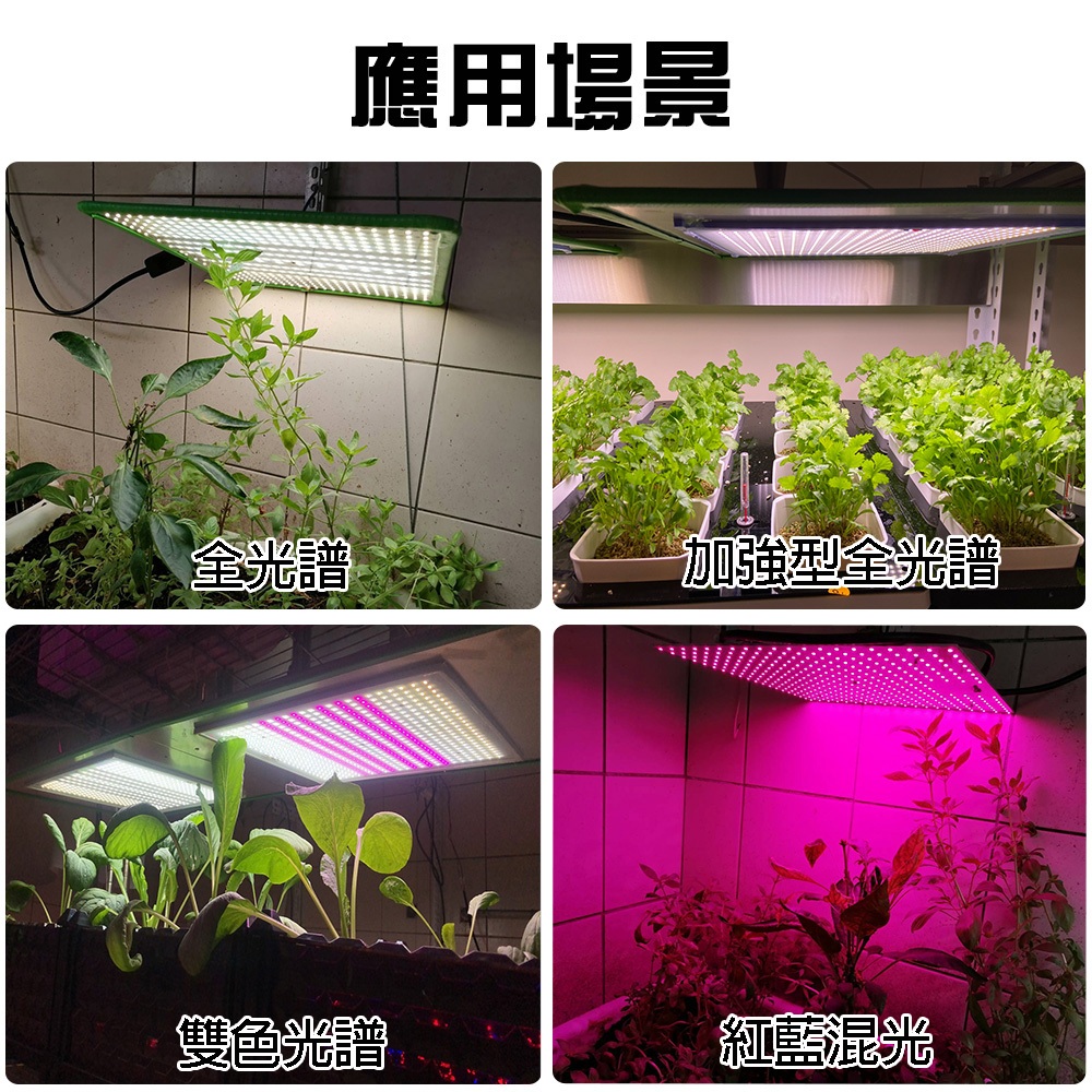 【君沛植物燈】LED植物燈 LED50W薄型植物燈板 50W 吊掛式植物燈 紅藍混光 專業型光譜 led植物生長燈, , large