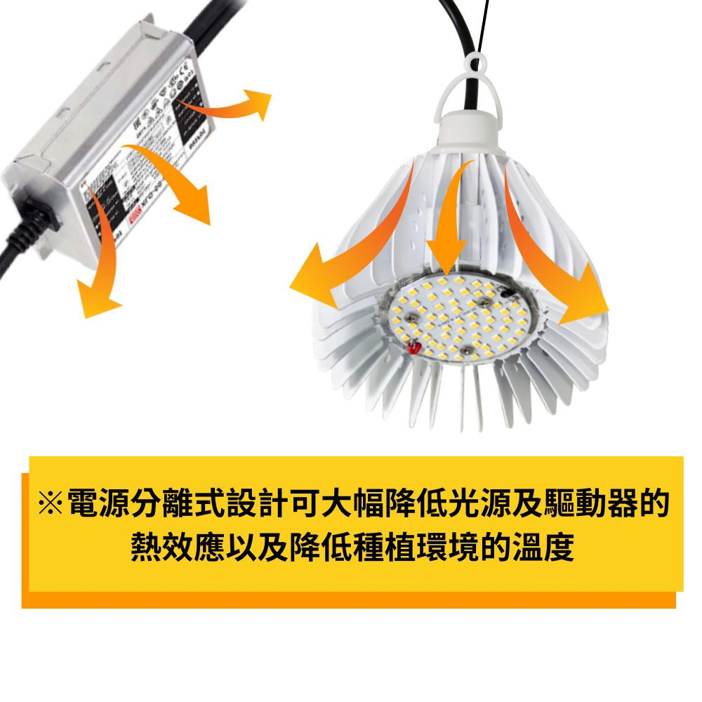 【君沛植物燈】LED植物燈 LED 50W 植物燈 外接電源型 紅藍光譜 LED 植物生長燈, , large
