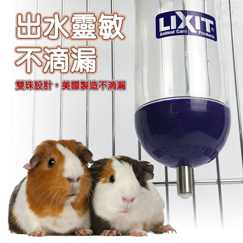 GS MALL 美國製造 LIXIT 寵物兔鼠類雙珠飲水瓶 300cc 天竺鼠 蜜袋鼯 黃金鼠 兔/鼠類 雙珠飲水瓶, , large