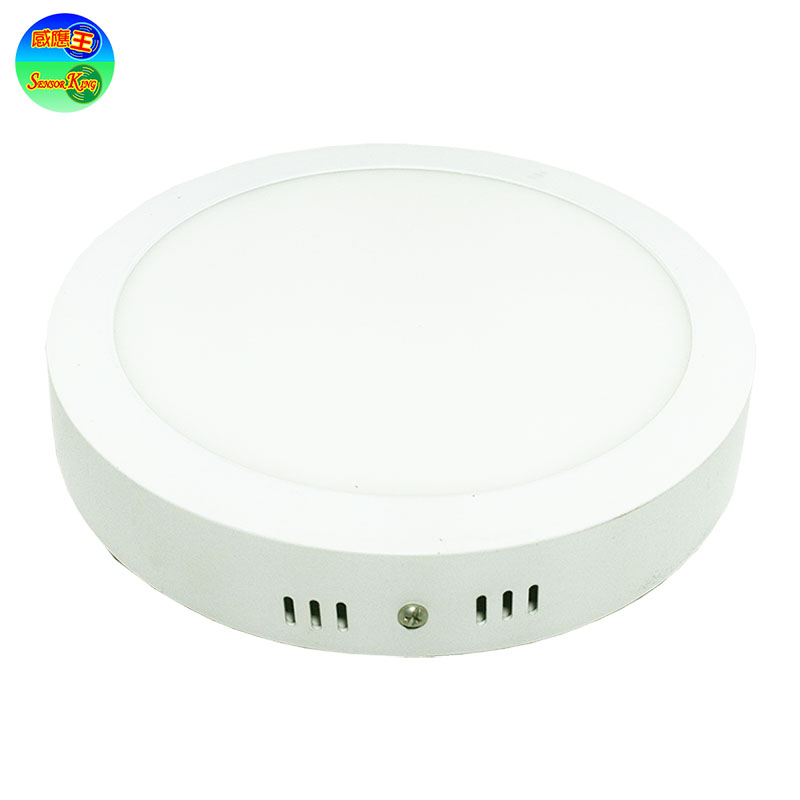 SK-585AV 12W Microwave Induction Panel Light (Small Round - All Voltage), , large