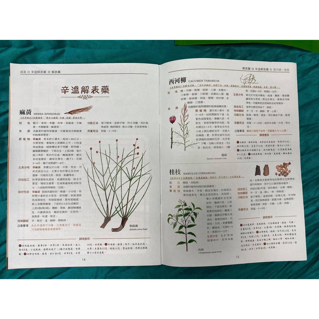 《南門書局》中國中草藥圖典 2冊~~中藥草藥, , large