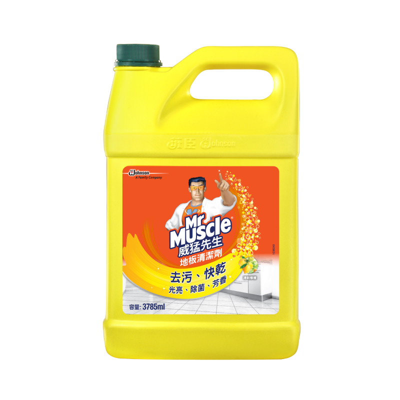 Mr Muscle Floor, , large