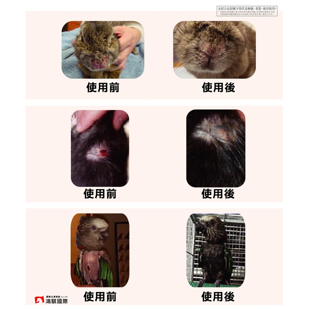 【PawHomie】愛迪生Addison 皮膚凝膠, , large