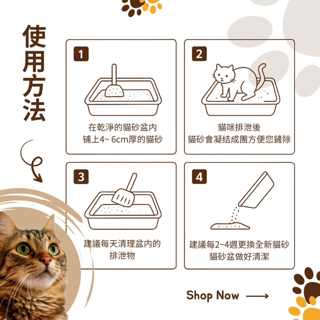 [我是豆腐砂]我是豆腐砂 貓沙 /凝結貓砂 /混合貓砂/ 貓礦砂, , large