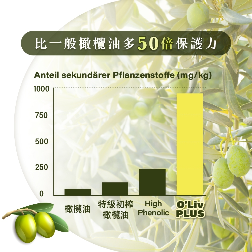 ［德風］舒蘭特十五倍多酚橄欖油(500ml/瓶)丨德風健康館  特級冷壓初榨橄欖油 高多酚 低酸價 生飲橄欖油 喝的橄欖油, , large