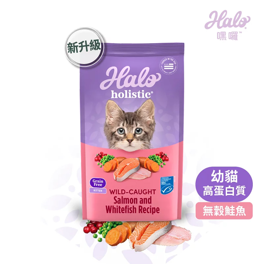 HALO , , large