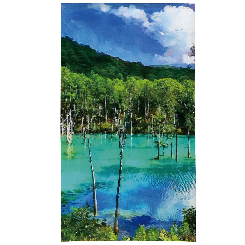 日本製【コスモ】長門簾《青池倒影》, , large
