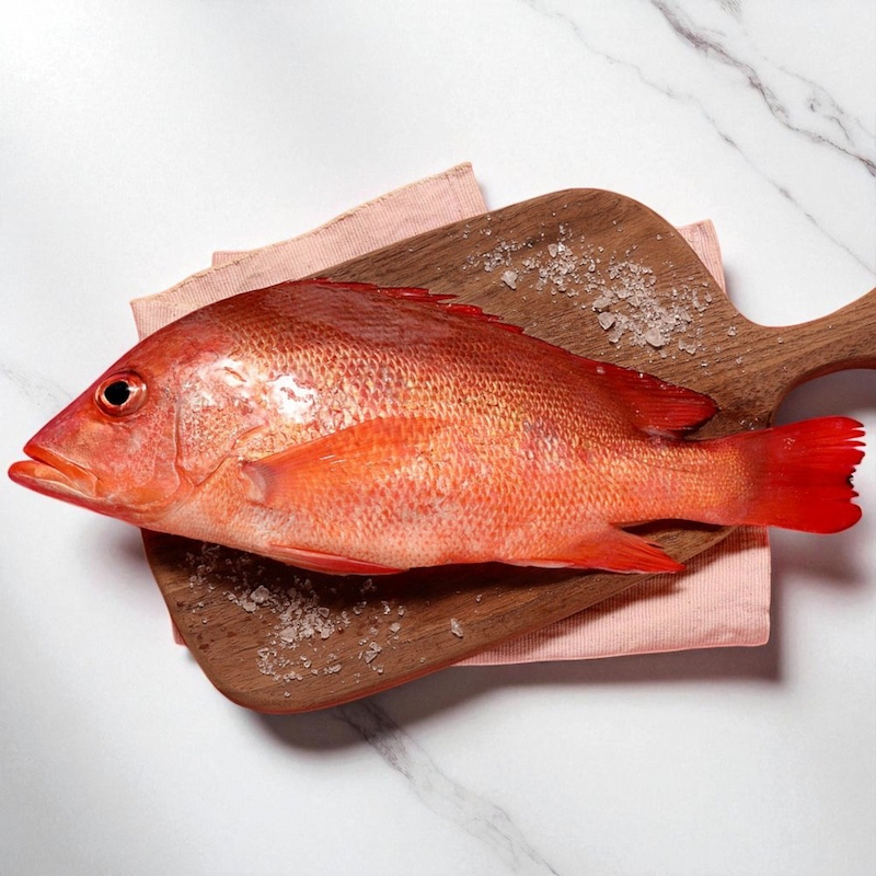 【一夫水產】紅魚/紅雞母, , large