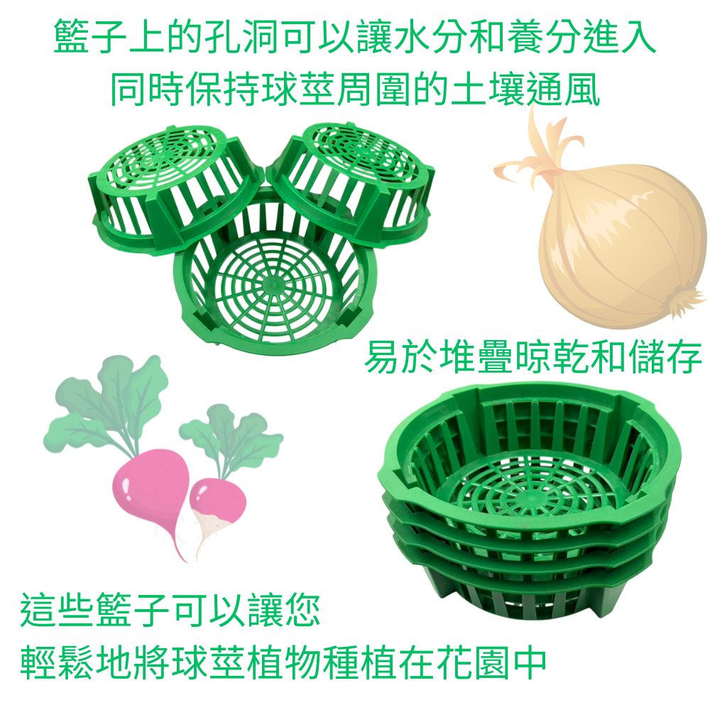 GS MALL 台灣製造 花莖培養籃 球莖種植籃 球根花卉籃 花球莖籃 洋蔥植物籃 花球莖碗 植物碗 繁殖托盤, , large