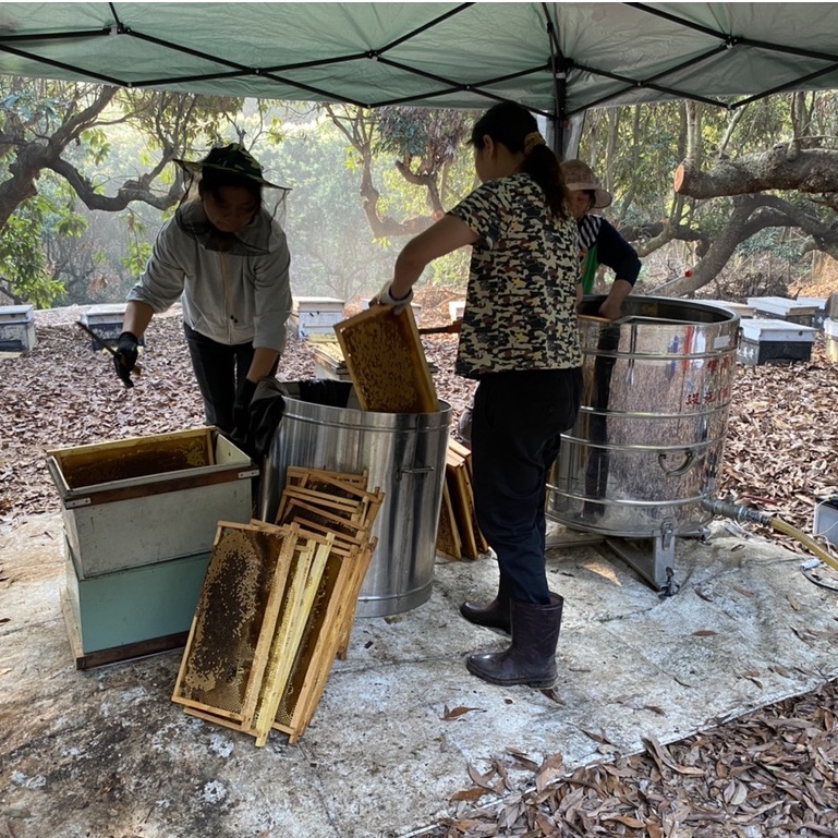 [皇廷] Honey gift box (Longan honey 420g x 2bottle), , large