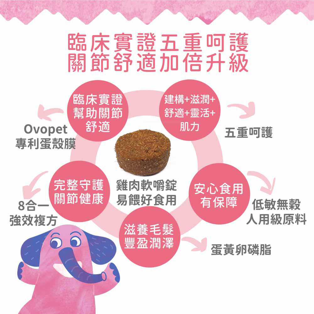 【IN-Plus】關節保健 MSM強化舒緩蛋殼膜配方30顆/罐(全齡犬/狗關節/寵物保健), , large
