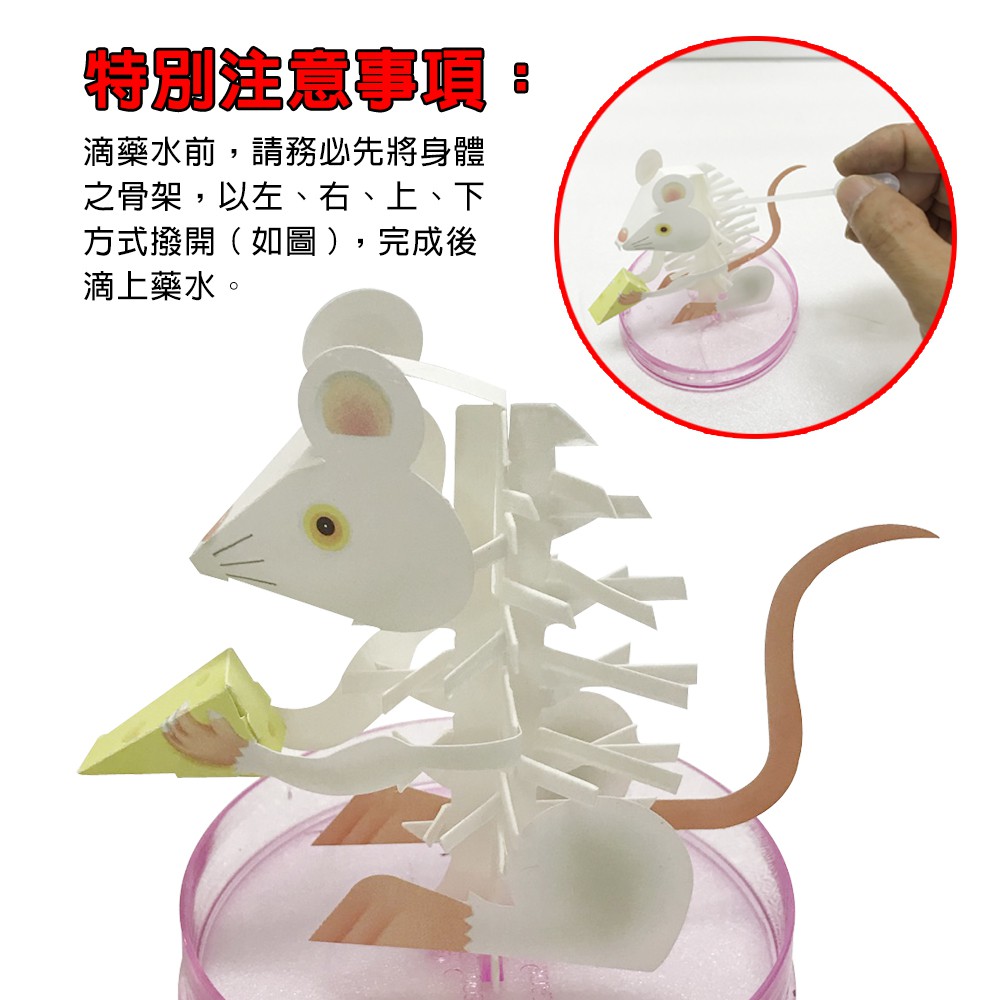 GS MALL 台灣製造 魔法成長錢鼠 魔法開花鼠 成長鼠 錢鼠 神奇錢鼠 紙花 開花鼠 裝飾樹 開花樹, , large