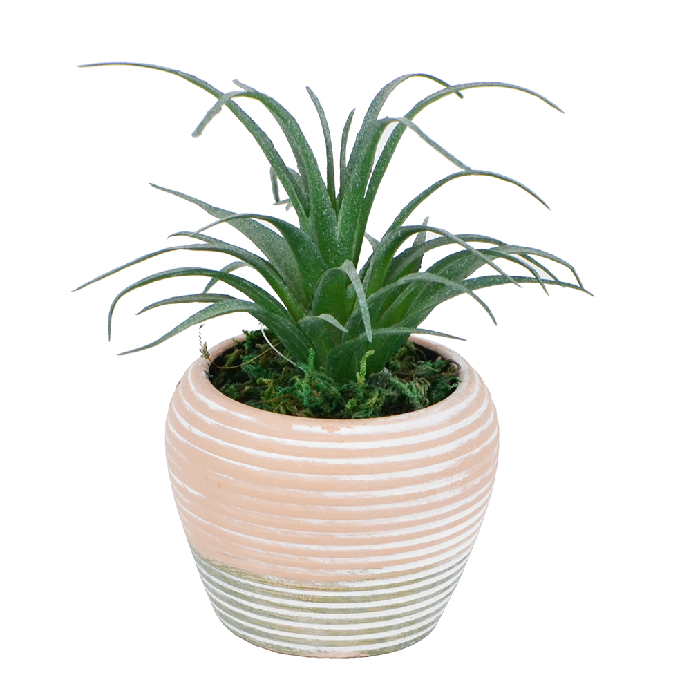 【YU Living】人造陶盆植物 仿真植物盆栽, , large