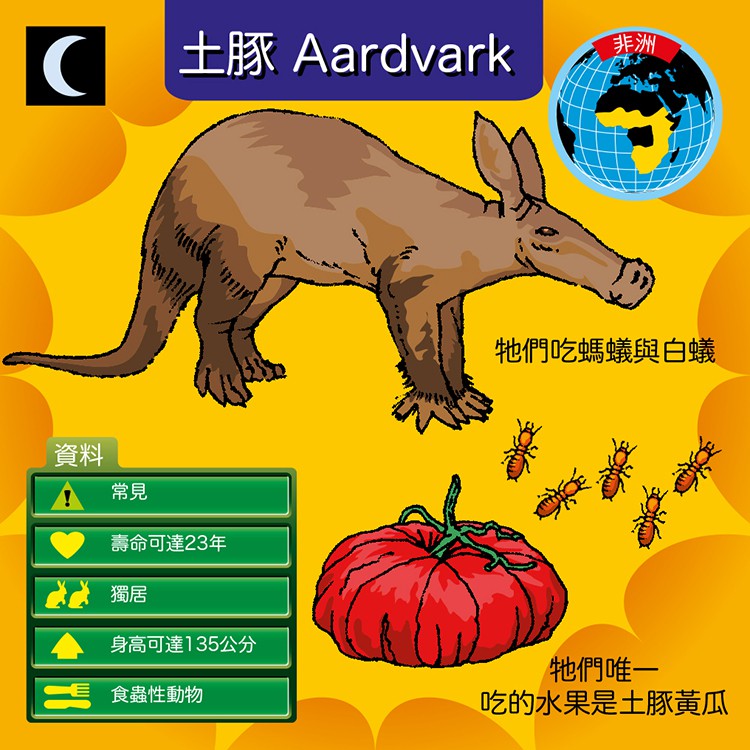 【Asmodee】大腦益智盒 動物百科 桌上遊戲 (中文英文雙語版) BrainBox Animal, , large