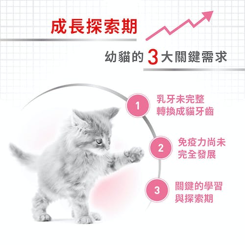 【拉拉寵物小舖】法國皇家 貓主食餐包 K36W 幼貓主食濕糧 貓主食濕糧, , large